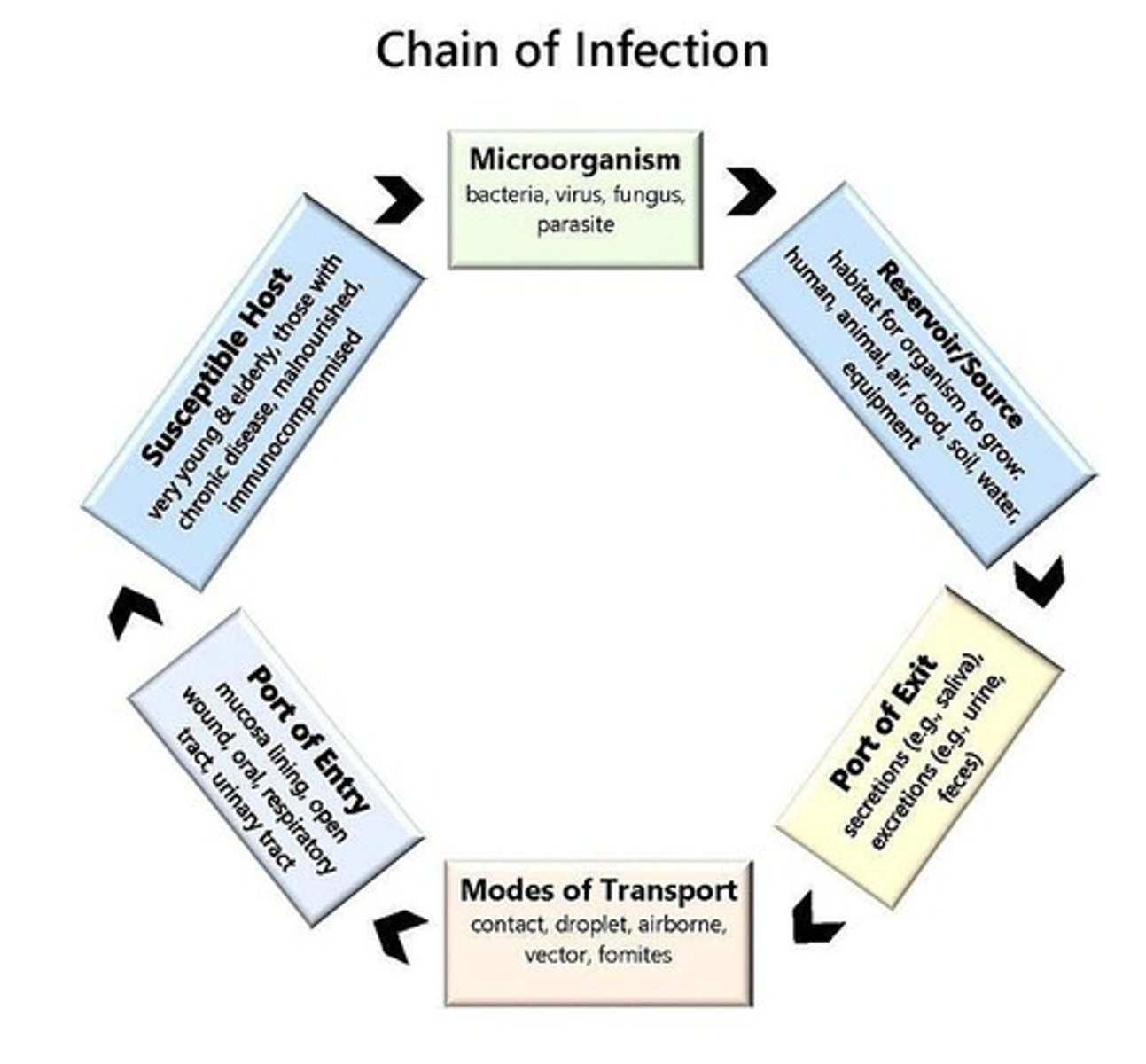 <p>The process by which infections are transmitted from one host to another.</p>