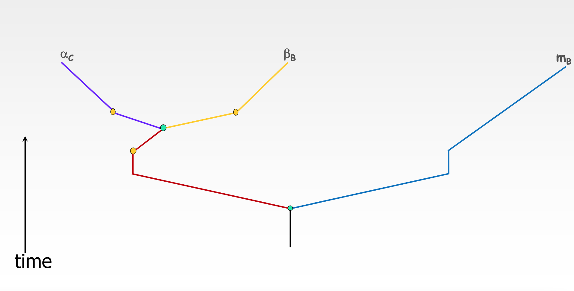 * only keep $$one branch per color$$ 
  * doesn’t matter which branches are removed 