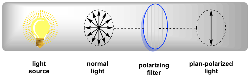 <p>light vibrating in all planes (perpendicular to direction of propagation) </p>