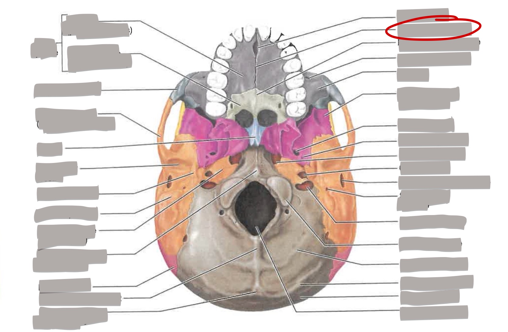 term image
