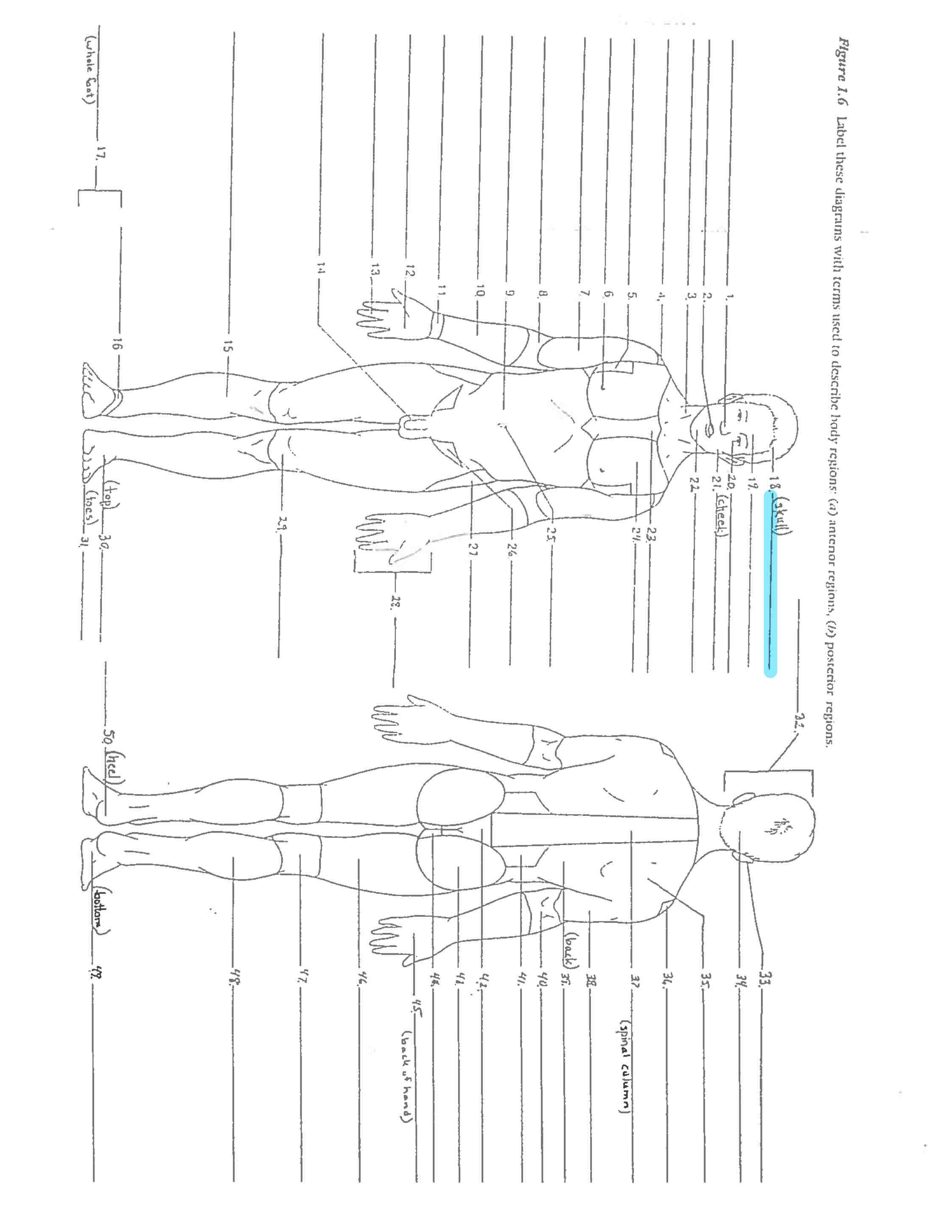 <p>Line 18</p>