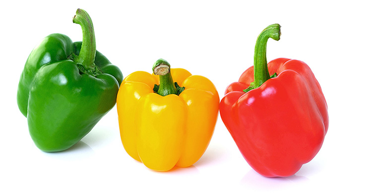 <p>Bell Pepper</p>