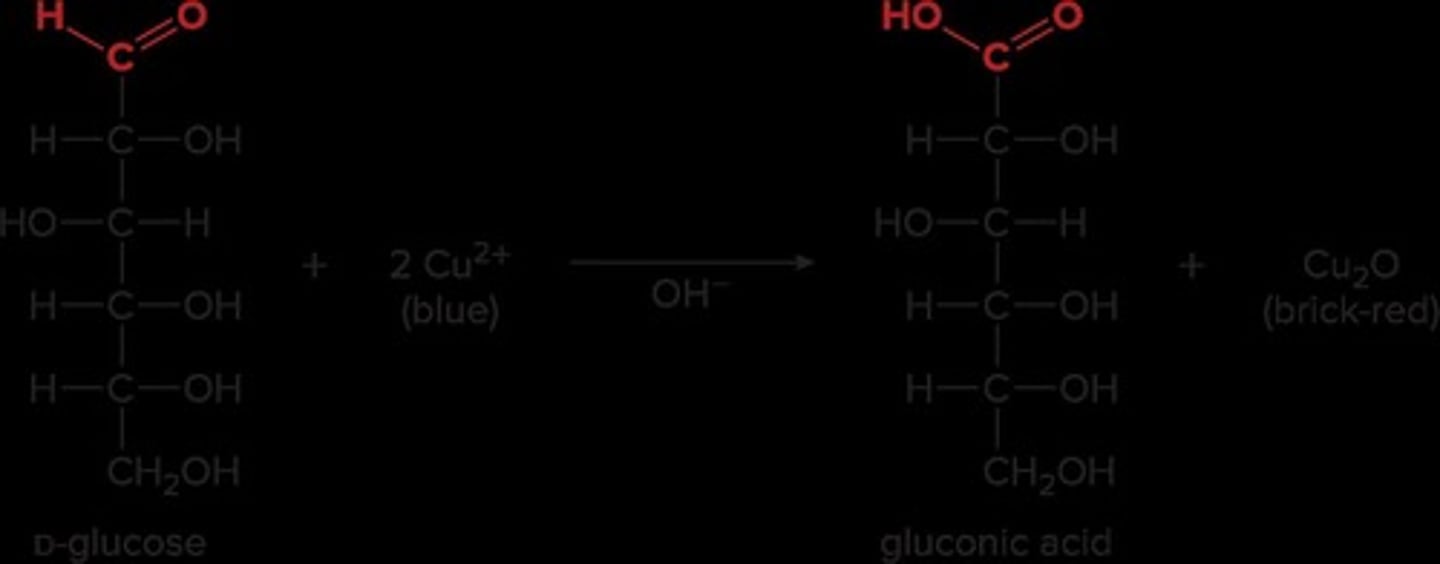 <p>Benedict's reagent.</p>