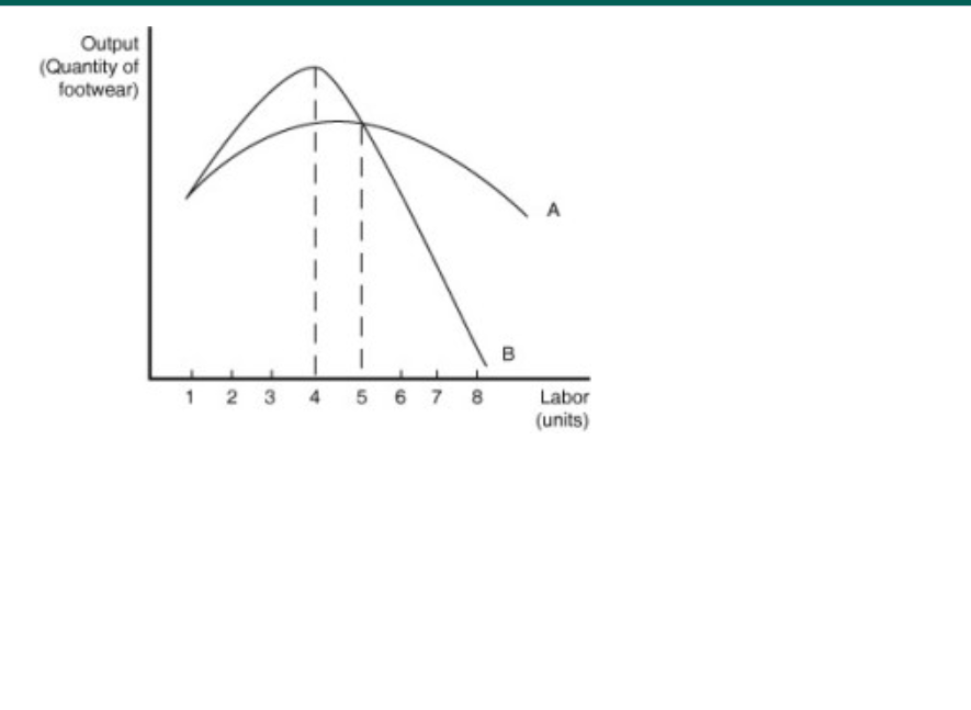 <p><span>Fancy Footwear manufactures shoes. The figure to the right shows Fancy​ Footwear's marginal product of labor and average product of labor curves in the short run.</span></p><p><span>Which of the following statements correctly describes the curves in the​ figure?</span></p><p><br></p>