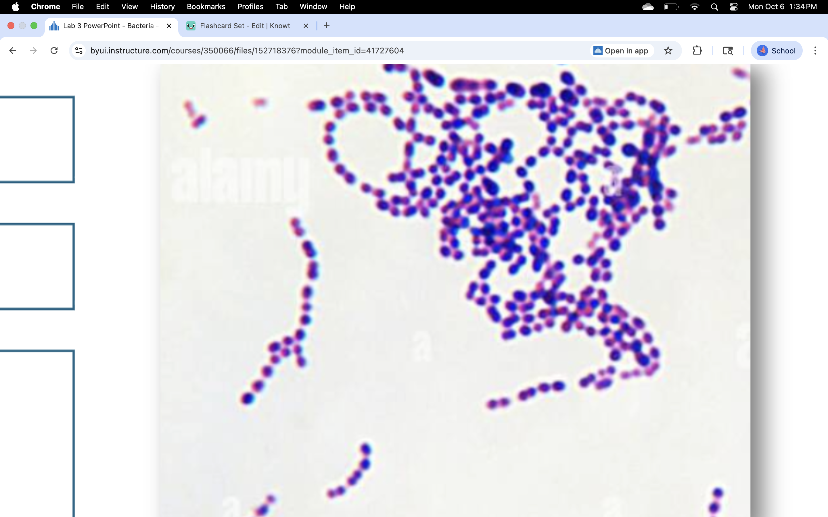 knowt flashcard image