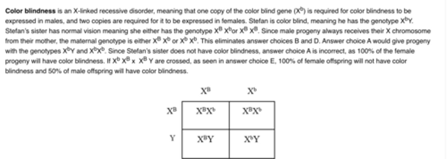 <p>E.Xb XB x XB Y</p>