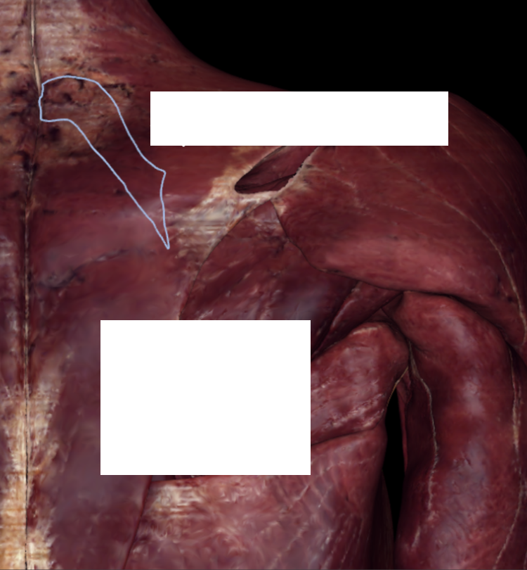 <p>?</p>