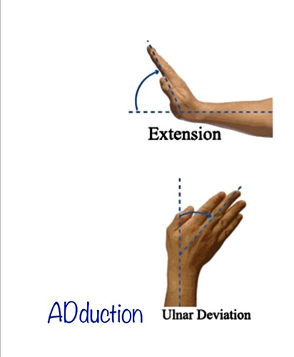 extension and ulnar deviation of wrist