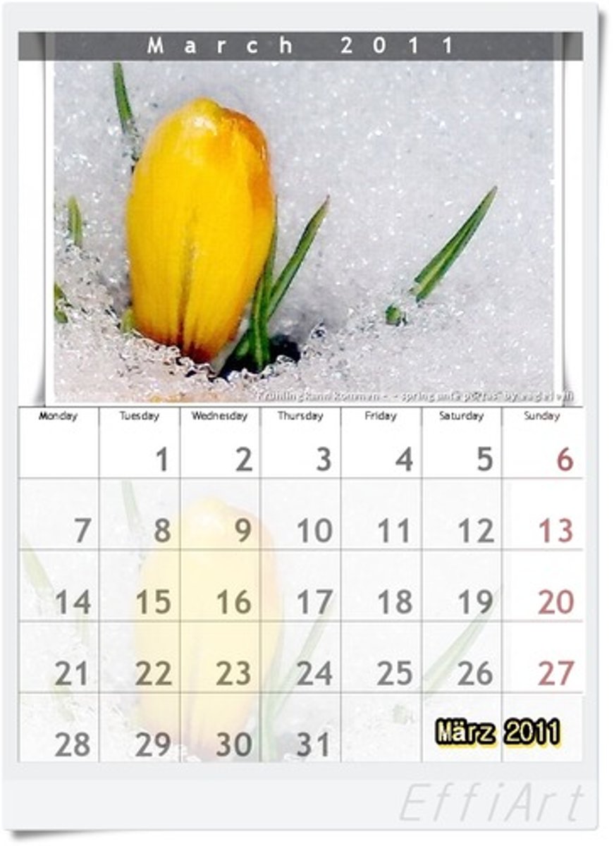 <p>calendar</p>