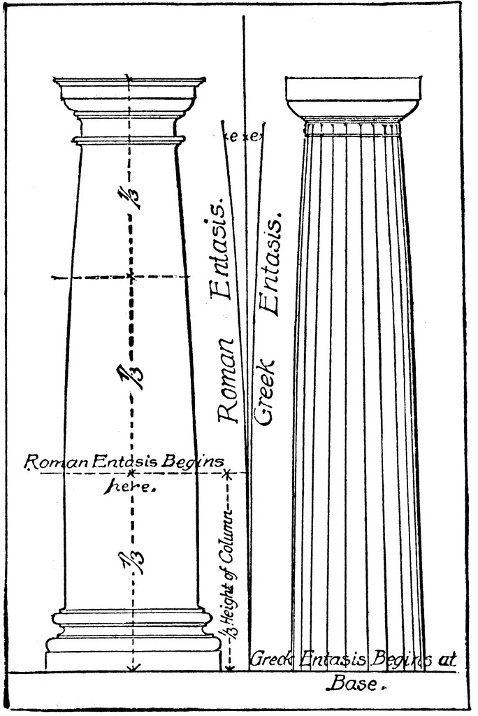 <p>Roman Entasis Line</p>