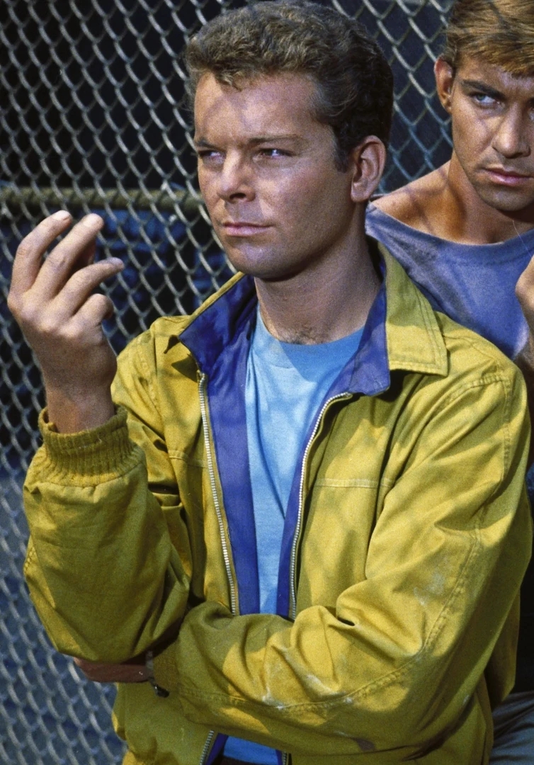 <p>Leader of the Jets</p>