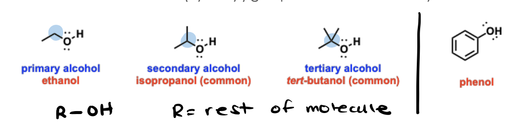 <p>Oxygen-containing functional groups that contain an "OH" (hydroxyl) group connected to an alkyl chain.</p>