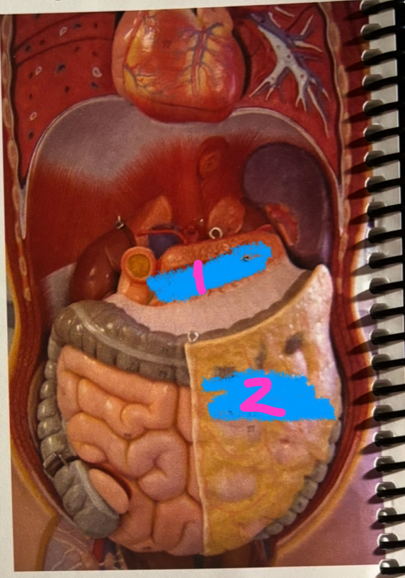 <p>2 </p>