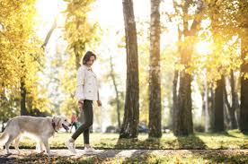 <p>to take a walk</p>