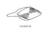 <p>See Photo</p>