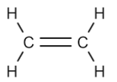 <p>Alkenes are <strong>unsaturated hydrocarbons</strong>, which contain at least <strong>one C=C</strong> double bond. The <strong>double bond</strong> makes alkenes <strong>reactive</strong>.</p>