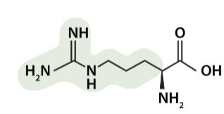 <p>what aa is this</p>