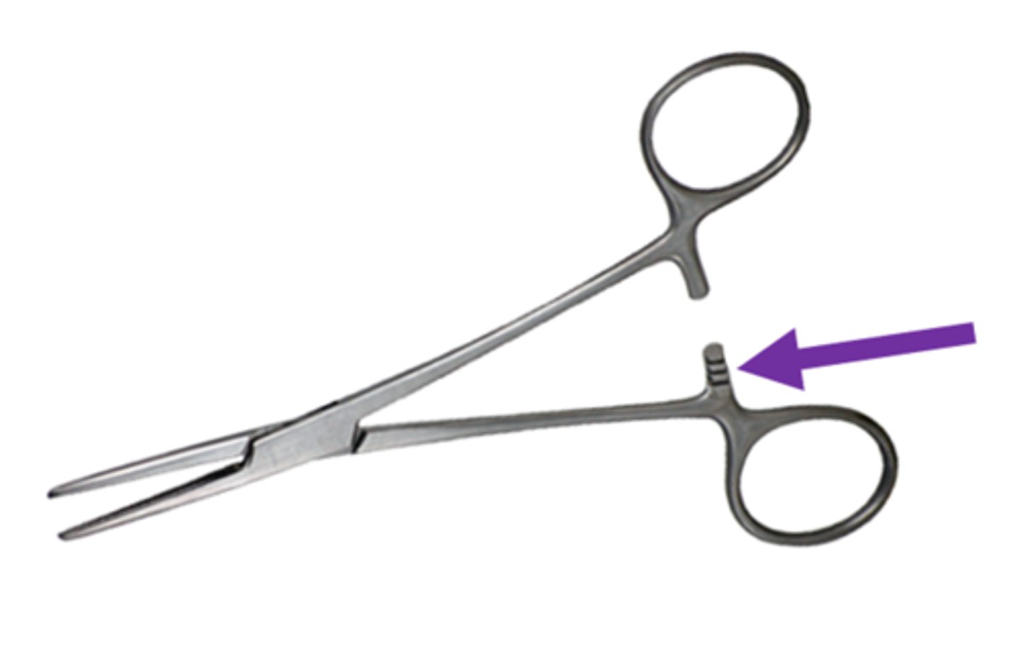 <p>the part of a surgical instrument that "locks" the handles in place</p>