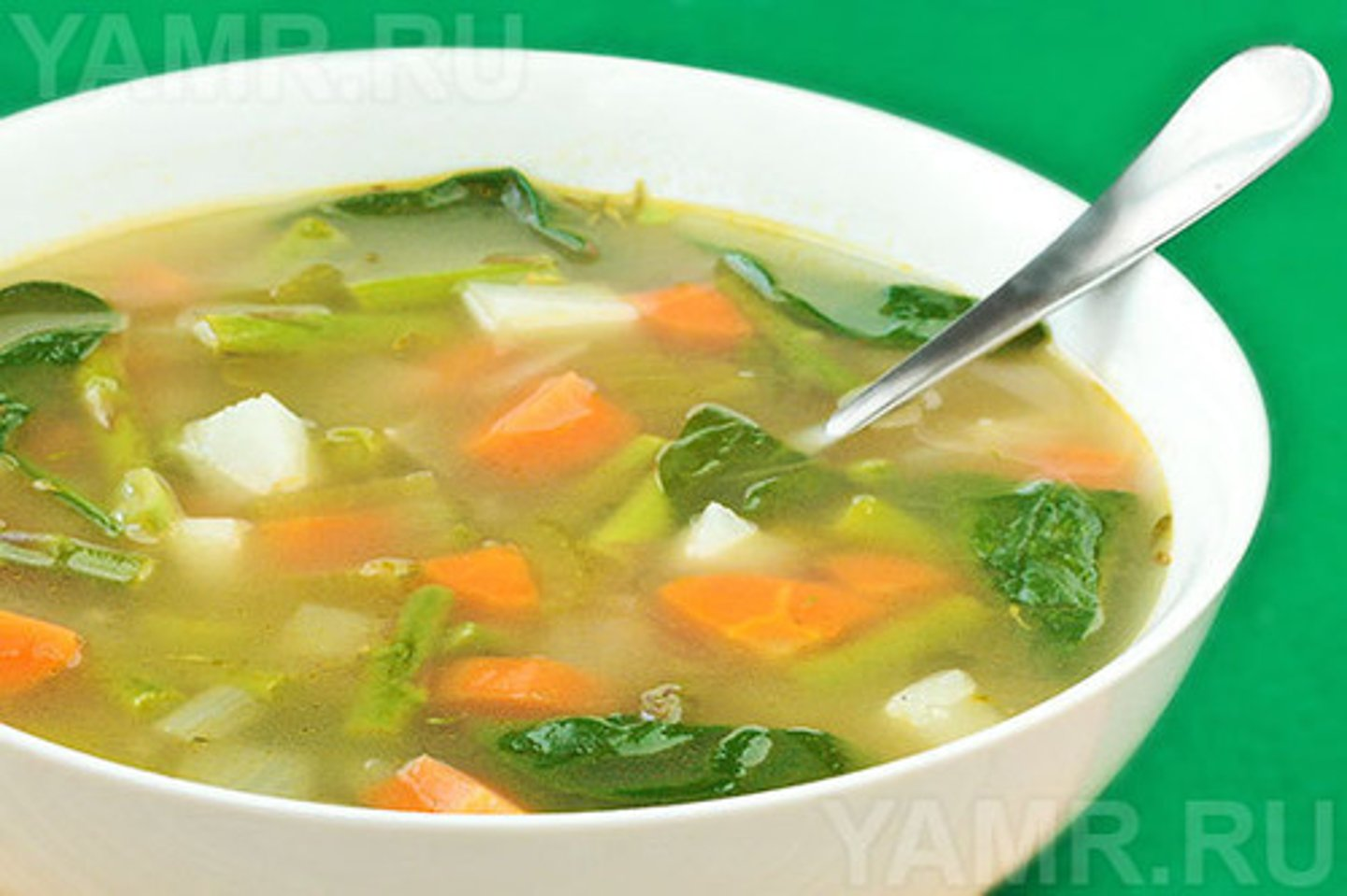 <p>SOPA</p>