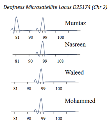 <p>Which of these are homo/heterozygous for the particular haplotype at this locus</p>