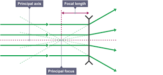 <ul><li><p>makes parallel light rays spread out (diverge)</p></li><li><p>the point at which light rats appear to come from is called the principle focus and is in front of the lens</p></li><li><p>these are used to correct short sight</p></li></ul><p></p>