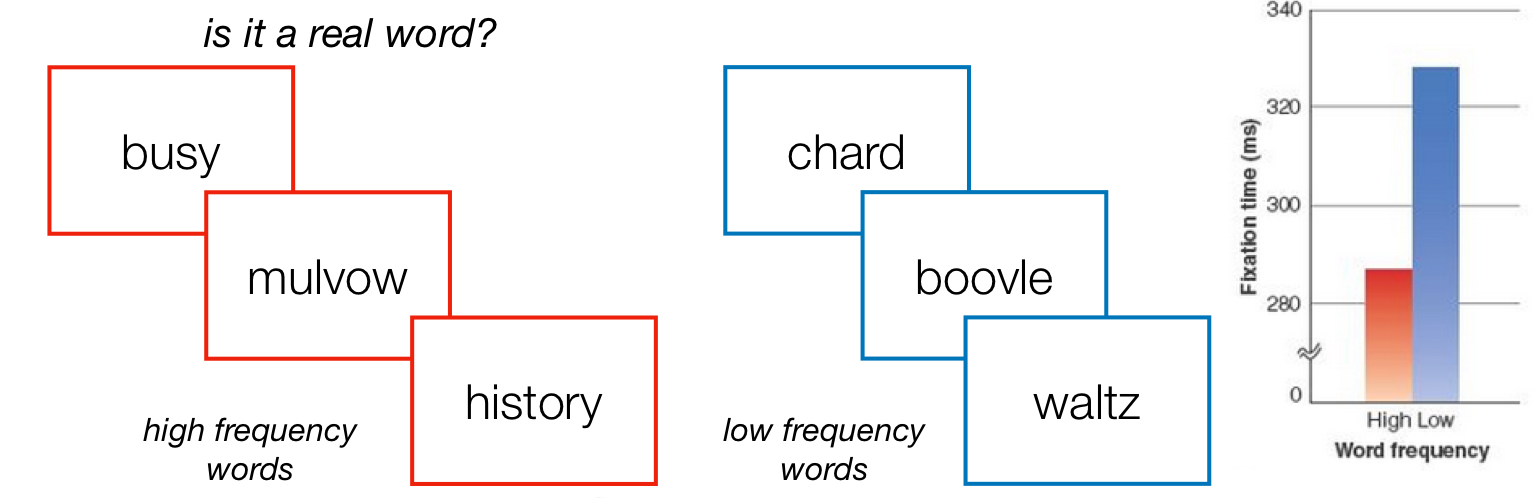 <p>we respond Faster words that occur more frequently, We fix it less to Words that occur more frequently</p>