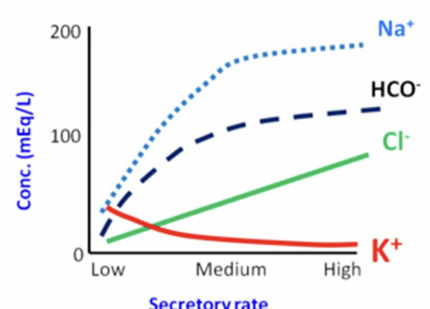 <p>compared to a low rate of saliva secretion, when you are chewing what happens to the concentration of Na, Cl, K, and HCO3?</p>