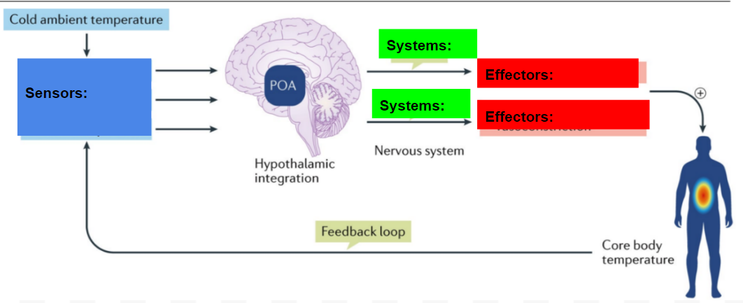 <p>Fill the bank for <strong><mark data-color="blue">cold stress response</mark></strong></p>