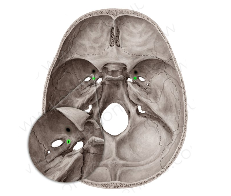 <p>innominatus csatornácska</p>