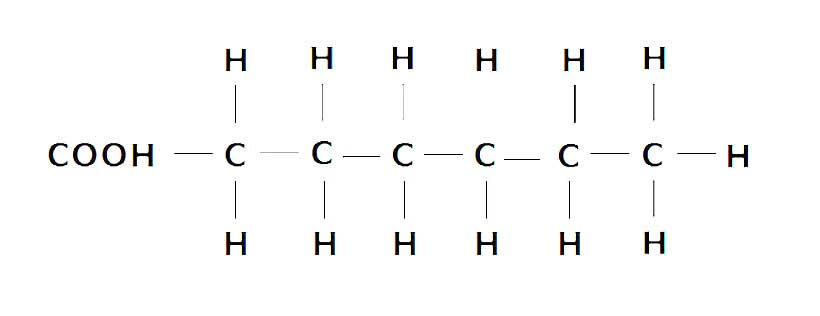 <p>Only single bonds between carbon atoms.</p>