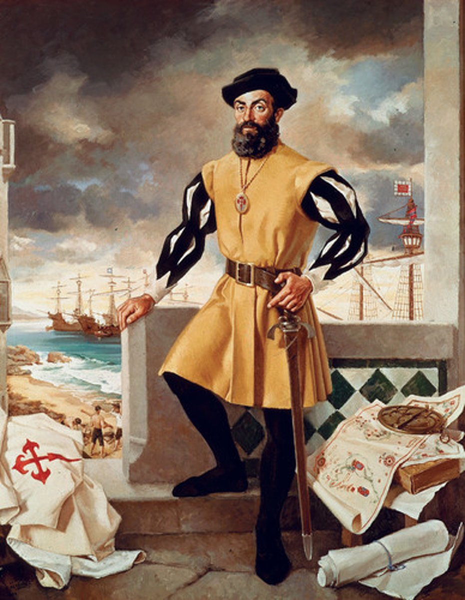 <p>a. Explorer<br>b. Portugal<br>c. The first navigator to attempt to circumnavigate the world. Magellan died in the Philippines, although his crew did sail around the world and proved that it was round.</p>