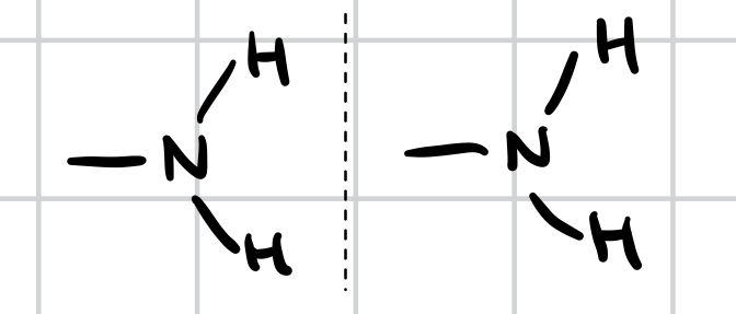 <p>Acts as a base (can pick up an H+ from the surrounding solution)</p>