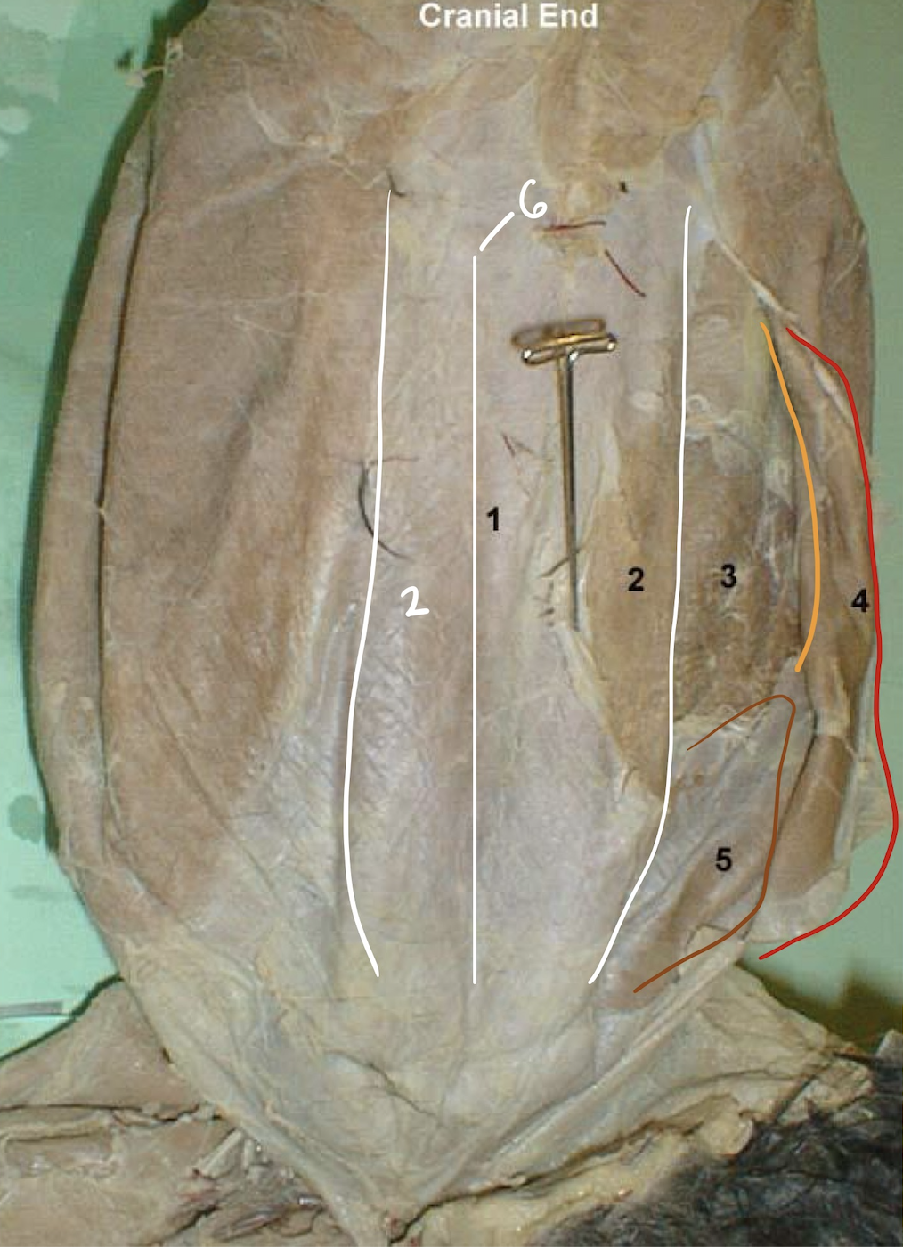 <p>1</p>
