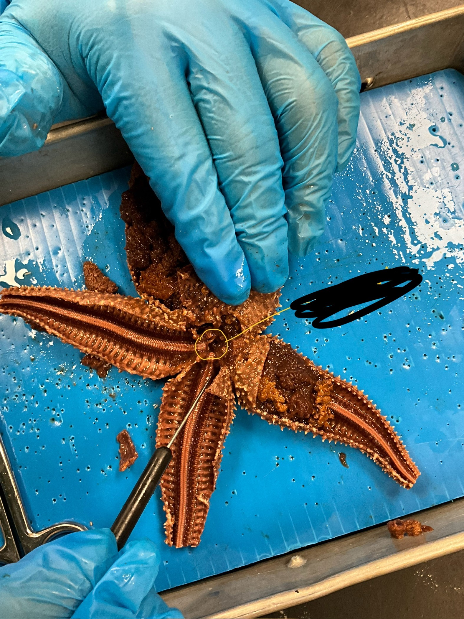 <p>what is the circled part called?</p>