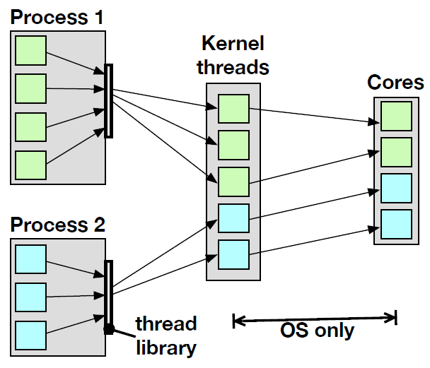 <ul><li><p>User-level threads cannot access cores directly, instead they are mapped onto kernel-level threads via an OS service called the scheduler.</p></li><li><p>Kernel-level threads have direct access to the cores (can be directly mapped to CPU cores).</p></li></ul><p></p><p></p>