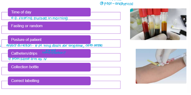 <ul><li><p>time of day</p></li><li><p>fasting or random</p></li><li><p>posture of patient</p></li><li><p>catheters/drips</p></li><li><p>sample collection tube</p></li><li><p>sample volume</p></li><li><p>sample labelling</p></li></ul><p></p>