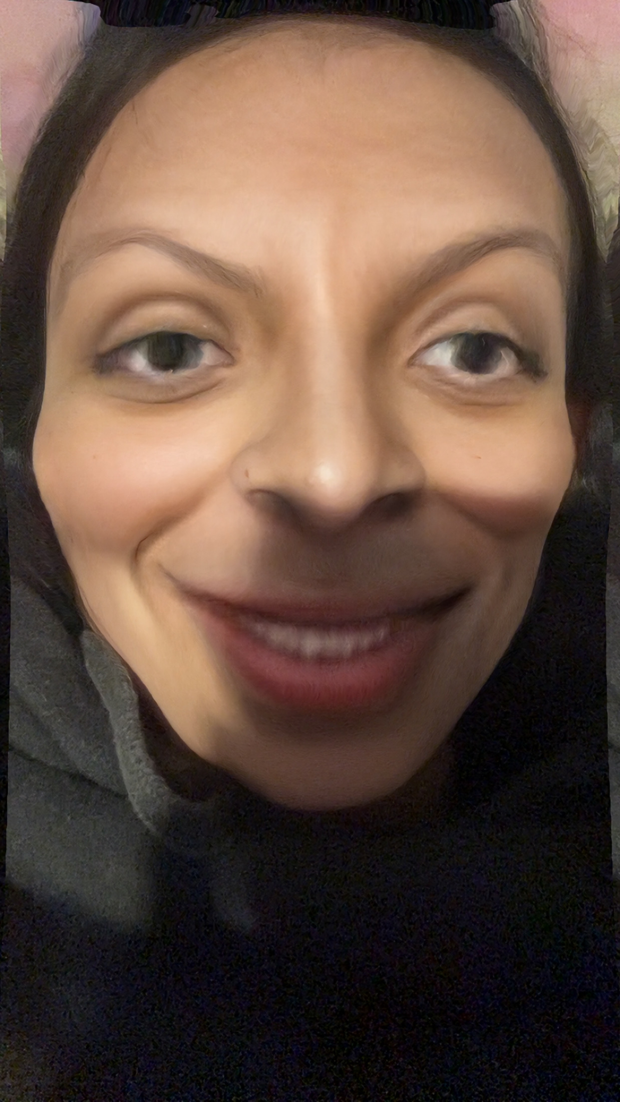 <p>Sinónimo de terremoto.</p>