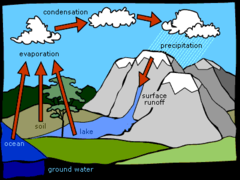 The continuous movement of water on, above, and below the surface of the Earth.
