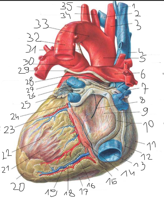 <p>5</p>