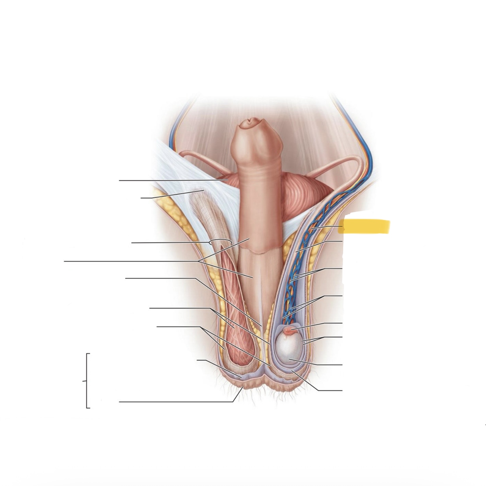<p>What is this structure?</p>