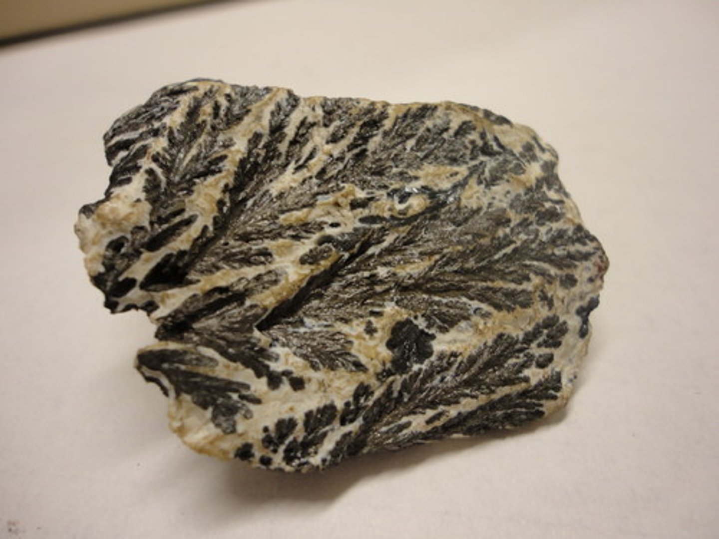 <p>Rutile group.<br>Tetragonal.<br>Radiating fibers or columns, granular massive, reniform or dendritic.<br>H = 6-6.5<br>SG = 4.75<br>Splintery fracture.<br>Metallic luster.<br>Iron-black.</p>