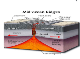 <p>At mid-ocean ridges, where tectonic plates diverge. `</p>