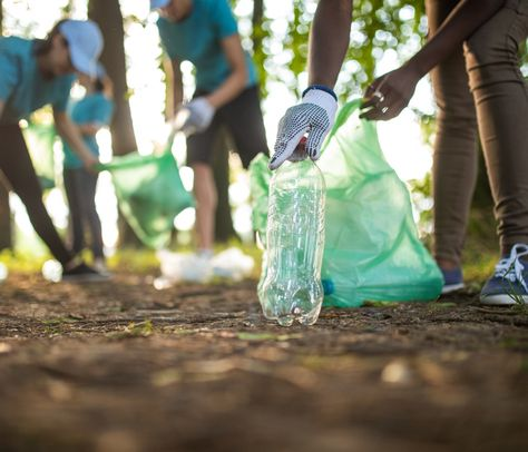 <p><span style="font-size: var(--font-size-body-normal)"><strong>It's Earth Day!</strong></span></p>