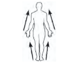 <p>Proximal</p>