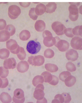 <p>what is this?</p>