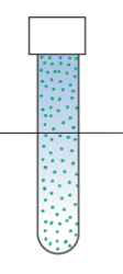 <p>What kind of organisms would grow like this in a tube with high O2 at the top to low O2 at the bottom?</p>