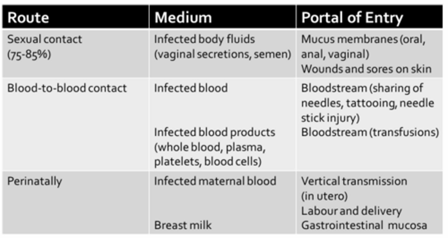 <p>- Sexual contact due to contact of mucus membranes with infected bodily fluids through various sexual activities (i.e. anal/oral sex)</p><p>- Individuals with others sexually transmitted diseases, both ulcerative and non-ulcerative, are at increased risk for HIV infection (due to open wounds)</p><p>- HIV is principally found in blood</p><p>- Prior to 1985, when routine screening of blood products for HIV was not performed, 70-85% of hemophiliacs receiving regular transfusions for clotting factors became infected with HIV</p><p>- Early infection is often asymptotic, but highly contagious</p>