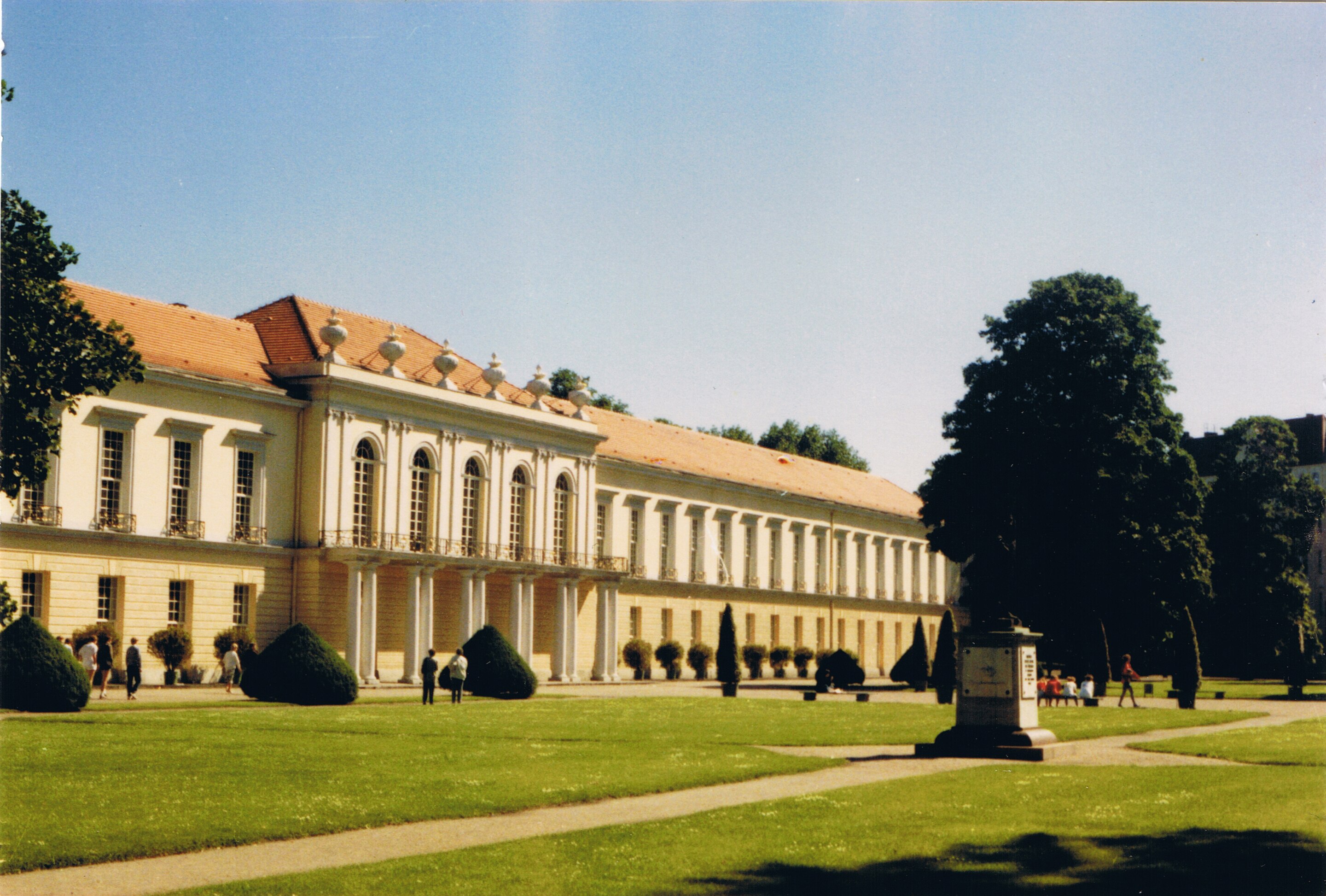 term image