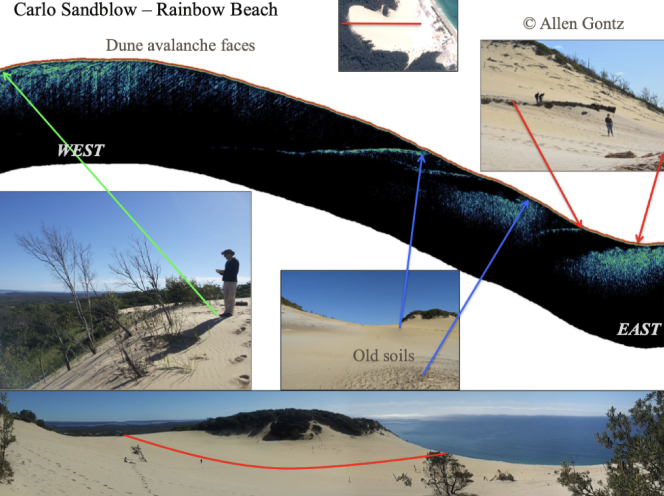           

W- see diagonal lines, wind catches sand near the coast, pushes the sand through, and the diagonal lines show the migration of the dune through the countryside

E- Harder, material, development of soil, exposed to light and heat, bakes into a chemical rock

 Current blowout is eroding through fast dues

Heavily vegetated landscape, buries trees as it goes across 

      