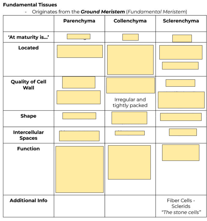 <p>Irregular and tightly packed</p>
